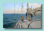 426_Swinging On The Hook